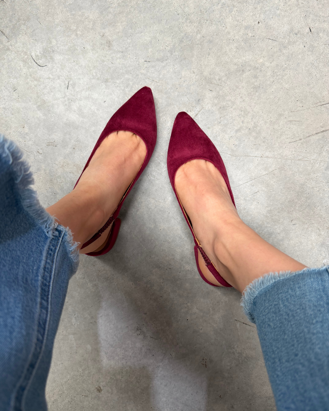 2501R Zapatilla Sintético Terciopelo Vino