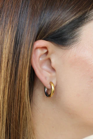Ignez Aretes Oro/Acero