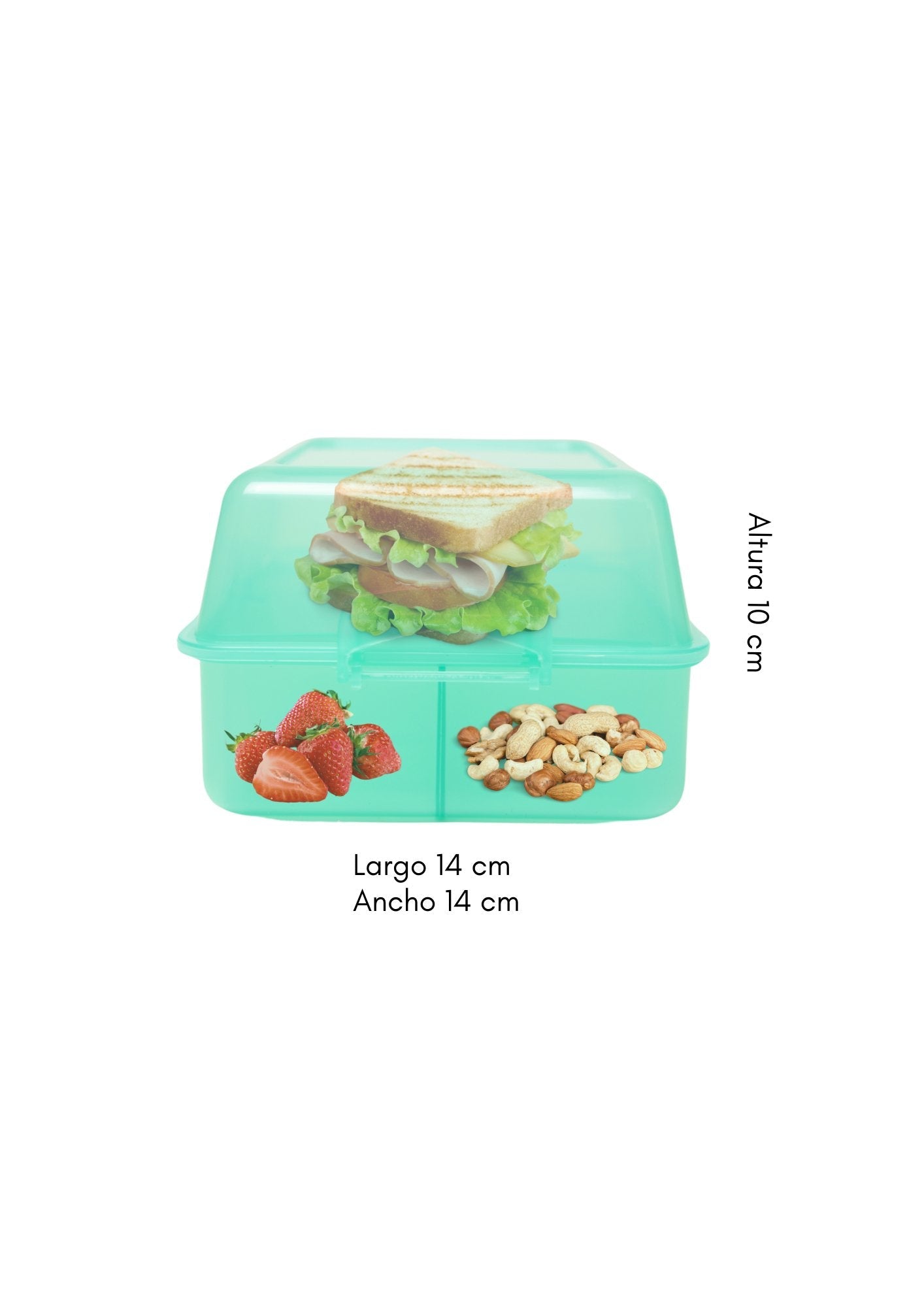 CK43078 - 1A Sandwich Box Verde - Mayoreo Calzado AndyHOGAR