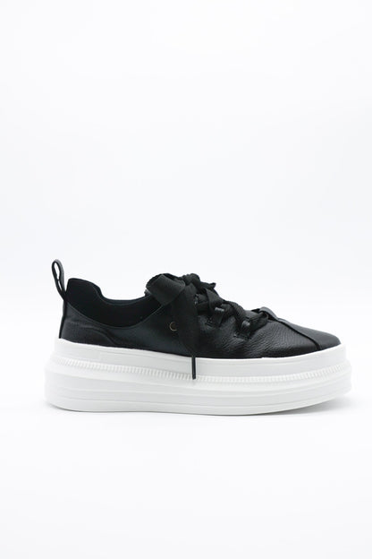 9251 Texano Negro - Mayoreo Calzado AndyTENIS